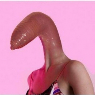 400_27.jpg